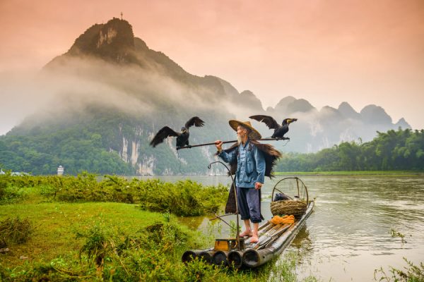 Pescador de cormoran, en un lago pescando, con unas hermosas montañas de fondo